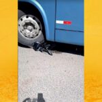 SAJ: Motorista sai ileso após moto ir parar embaixo de ônibus em acidente no Andaiá