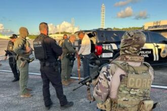 Com 102 prisões por dia em 2026, Polícia da Bahia ultrapassa a marca de 12.300 criminosos capturados | SSP
