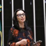 Comissão Geral sobre o Feminicídio. Dep. Ana Pimentel (PT - MG)