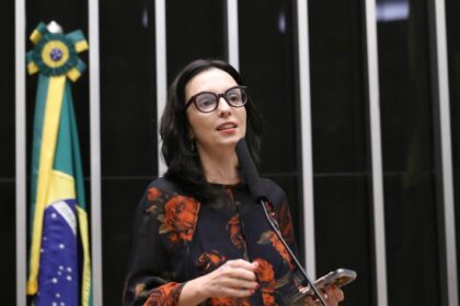 Comissão Geral sobre o Feminicídio. Dep. Ana Pimentel (PT - MG)