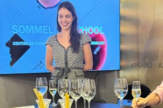 Curso de sommelier é lançado em Salvador