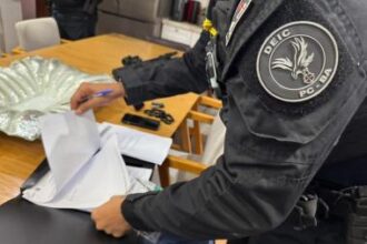 Empresário do ramo automotivo é preso pelo DEIC por suspeita de estelionato | SSP