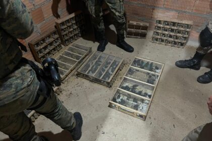 Operação contra tráfico de animais silvestres apreende mais de 370 aves em Medeiros Neto
