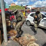 PM resgata 65 animais silvestres e conduz 5 suspeitos em Alagoinhas e Feira de Santana | SSP