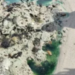 Polícia Federal abre inquérito para investigar manchas em praia de Salvador