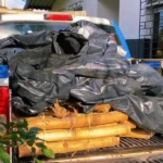 Polícia apreende material explosivo usado na fabricação de espadas juninas em Cruz das Almas