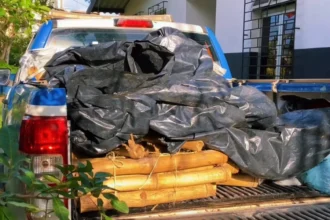 Polícia apreende material explosivo usado na fabricação de espadas juninas em Cruz das Almas