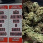 Salvador: Operação Naufragium desarticula esquema de tráfico de drogas voltado para público de alto poder aquisitivo