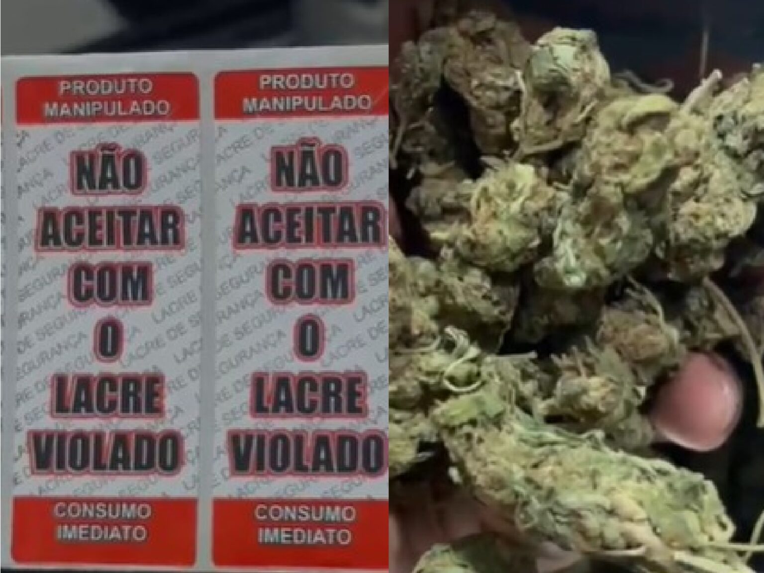 Salvador: Operação Naufragium desarticula esquema de tráfico de drogas voltado para público de alto poder aquisitivo