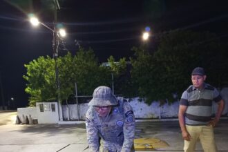PM resgata cão em risco de atropelamento em Barra do Jacuípe