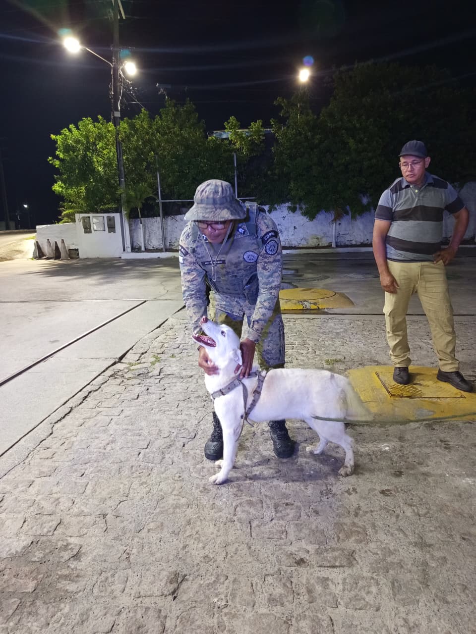 PM resgata cão em risco de atropelamento em Barra do Jacuípe