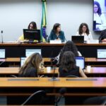 Audiência Pública - Aspectos jurídicos da criminalização da misoginia: direito nacional constitucionalidade e experiências internacionais.