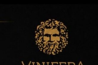 Vinífera Import cresce de grupo de amigos para operação nacional