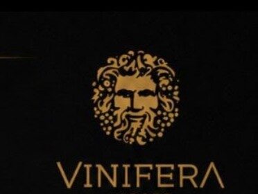 Vinífera Import cresce de grupo de amigos para operação nacional