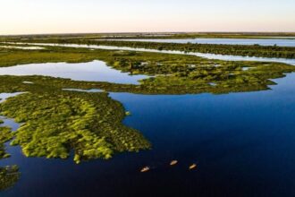 projetos no Senado reforçam agenda climática — Senado Notícias