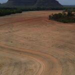 Fim da Moratória da Soja pode ampliar destruição da Amazônia
