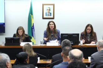Audiência Pública - Impactos da Extinção da Licenciatura EaD.