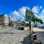 Gestão Bruno Reis é criticada por decorar Salvador com bananeiras artificiais para o 2 de Julho