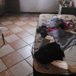 Lei amplia proteção a doméstica resgatada de trabalho análogo à escravidão  - Notícias