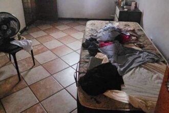 Lei amplia proteção a doméstica resgatada de trabalho análogo à escravidão  - Notícias