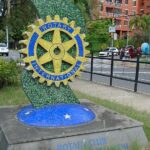 Lei reconhece dia dos rotaractianos, jovens com atuação humanitária — Senado Notícias