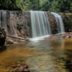 Nove estados, um bioma: descubra a diversidade do turismo na Amazônia brasileira