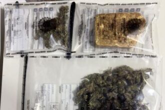 Polícia Civil prende homem e apreende adolescente por tráfico de drogas em Campo Formoso | SSP