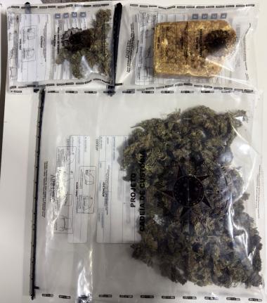 Polícia Civil prende homem e apreende adolescente por tráfico de drogas em Campo Formoso | SSP