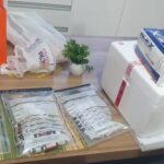 Polícia apreende 200 canetas emagrecedoras avaliadas em R$ 164 mil durante operação na Bahia