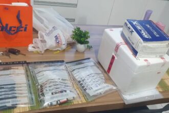 Polícia apreende 200 canetas emagrecedoras avaliadas em R$ 164 mil durante operação na Bahia