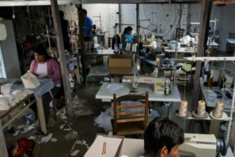 Em 13 anos, MG tirou 5,6 mil pessoas de trabalho análogo à escravidão