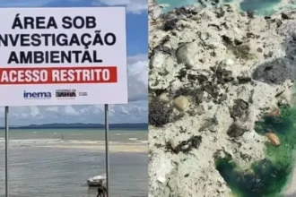 PF pede bloqueio de bens da Gerdau por contaminação de metais pesados em praia de Salvador