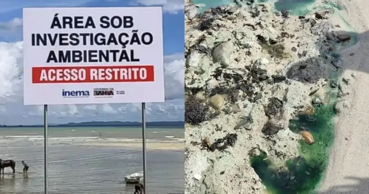 PF pede bloqueio de bens da Gerdau por contaminação de metais pesados em praia de Salvador