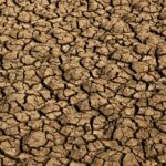 Risco de desertificação no Brasil ameaça segurança hídrica e alimentar