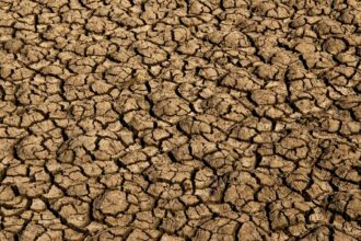 Risco de desertificação no Brasil ameaça segurança hídrica e alimentar