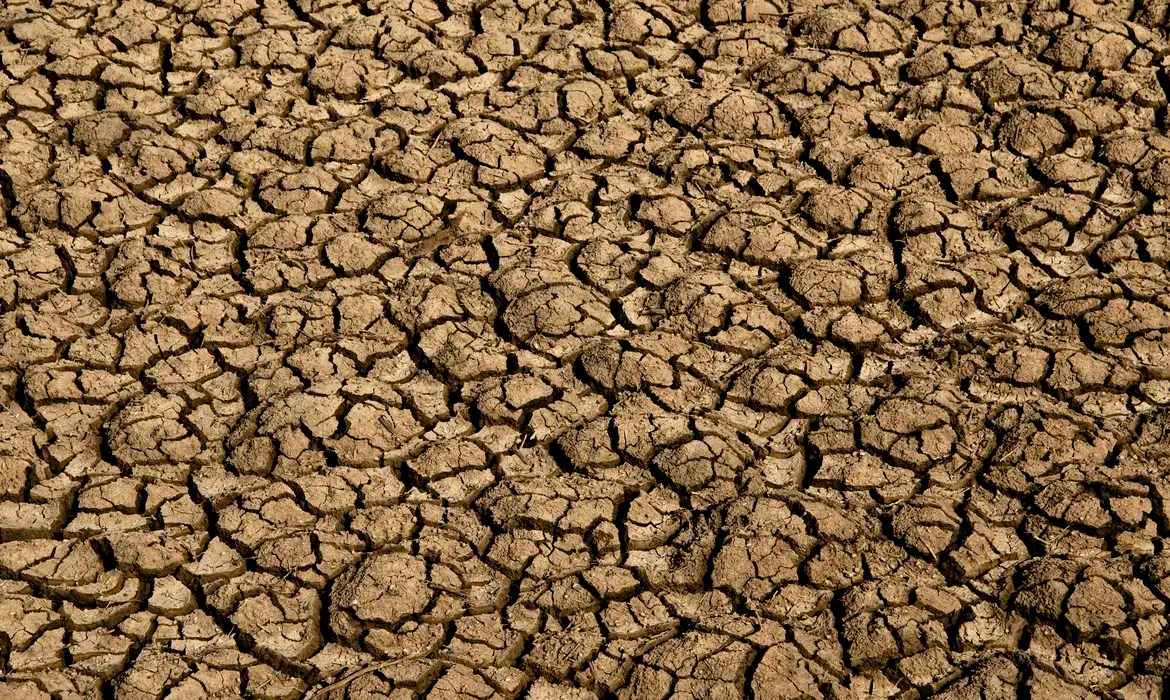 Risco de desertificação no Brasil ameaça segurança hídrica e alimentar