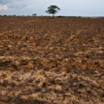 Secas avançam no Brasil e preocupam especialistas