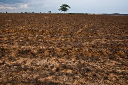 Secas avançam no Brasil e preocupam especialistas