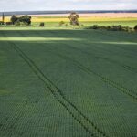 Senado aprova plano para fabricação de fertilizantes no Brasil