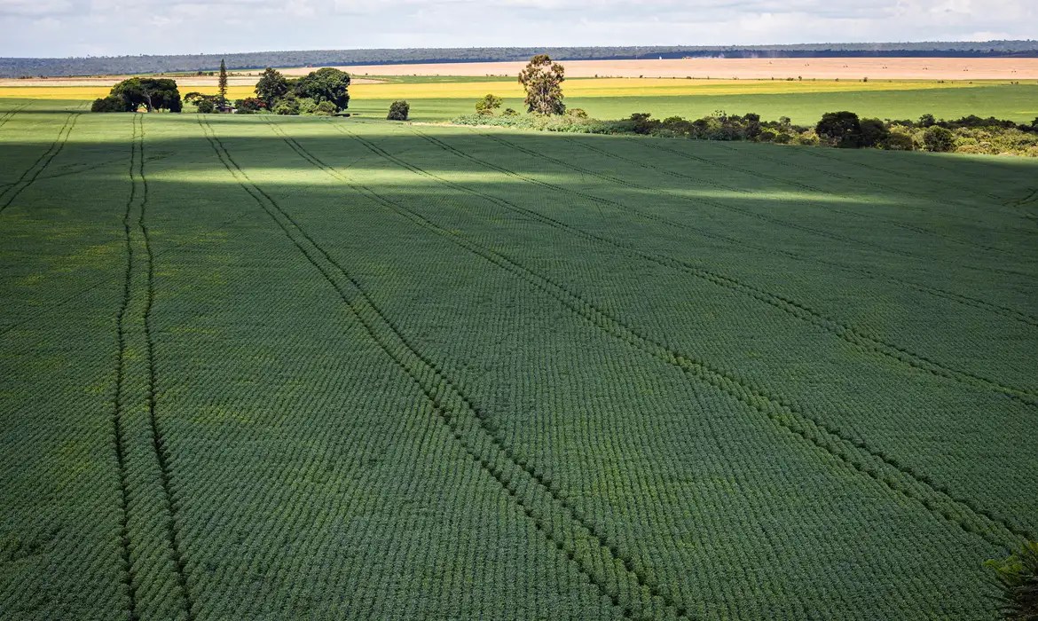 Senado aprova plano para fabricação de fertilizantes no Brasil
