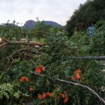 Alerta de tempestade: frente fria amplia instabilidade na Região Sul