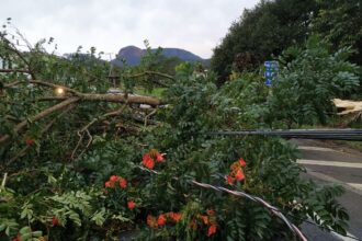 Alerta de tempestade: frente fria amplia instabilidade na Região Sul