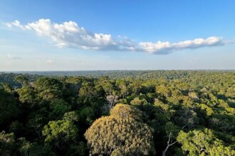 Amazônia e Cerrado evitaram emissões equivalentes às do Japão
