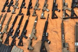 Armas apreendidas do crime organizado poderão ser incorporadas ao patrimônio da Polícia Civil | SSP