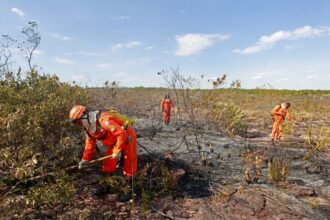 Bahia emite alertas pelo WhatsApp sobre riscos do El Niño nos 417 municípios
