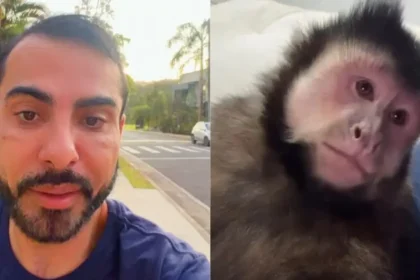 Marcell Moraes acusa vizinho de matar macaco em condomínio; Inema apura causa da morte