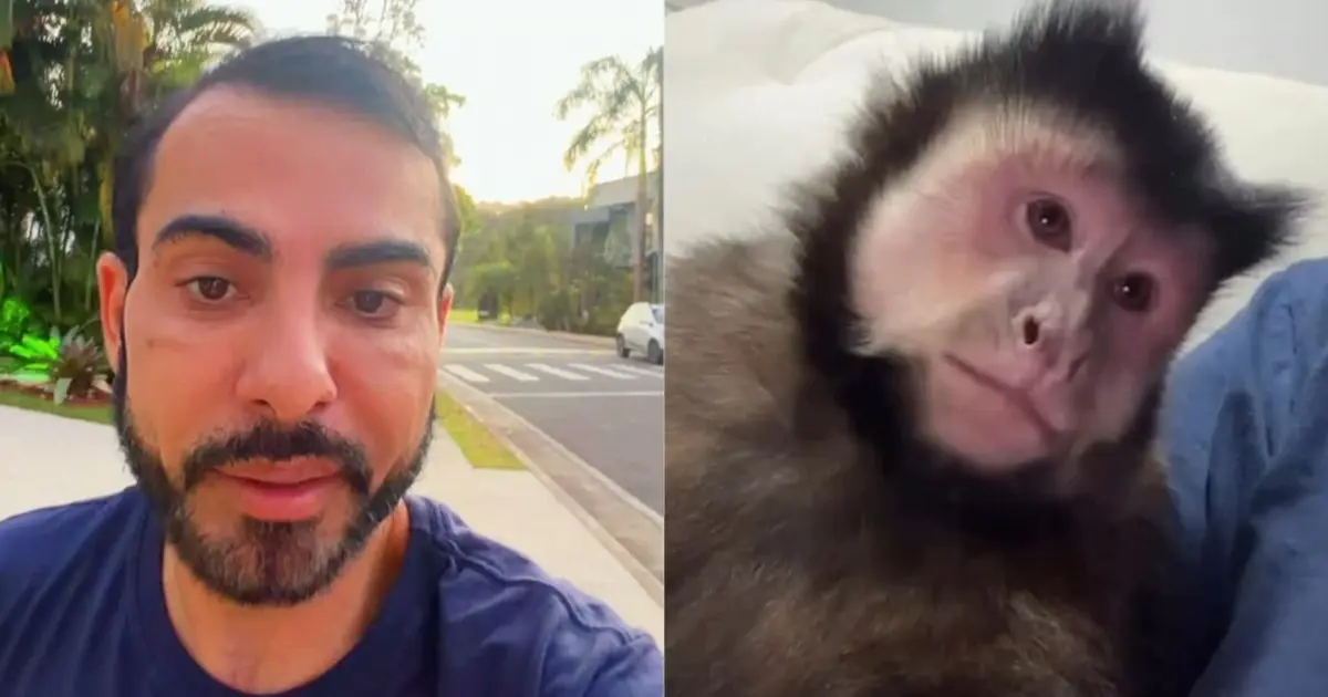 Marcell Moraes acusa vizinho de matar macaco em condomínio; Inema apura causa da morte