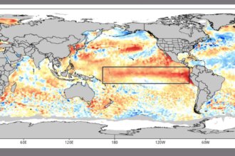 Painel indica que El Ninõ pode ser um dos mais intensos desde 1950